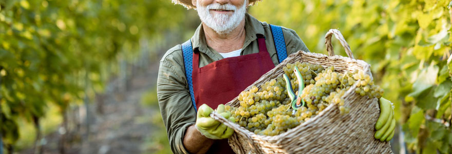 Découvrez les vignerons de buzet