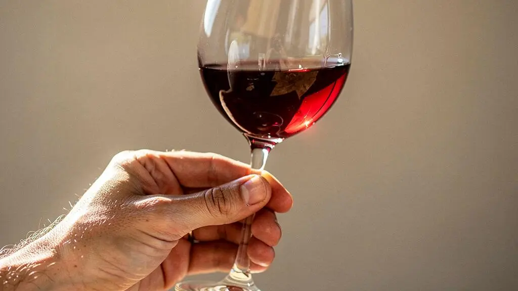 Main tenant un verre de vin rouge à contre-jour pour examiner sa robe, sa couleur et sa transparence.